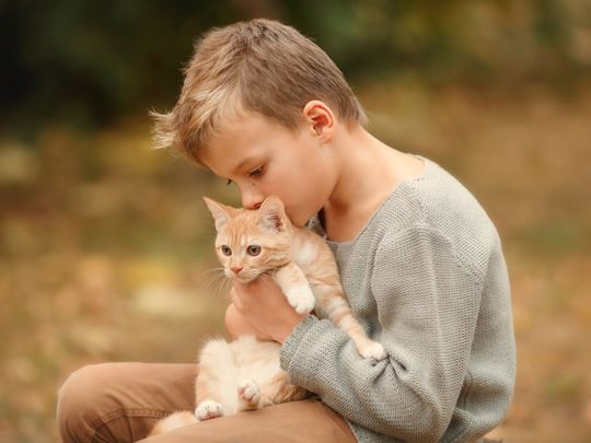 ASD And Cats