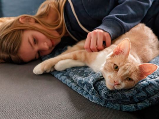 Cat With teenager